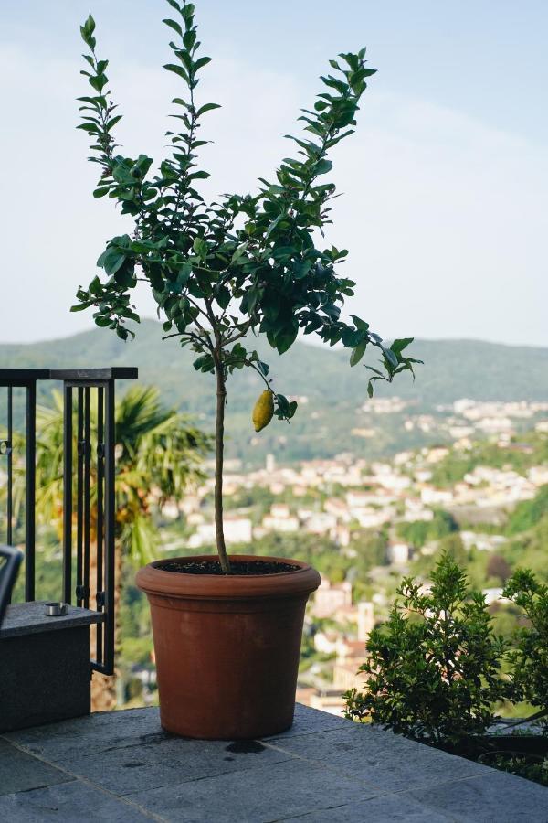 Villa Almana Cernobbio Exterior photo